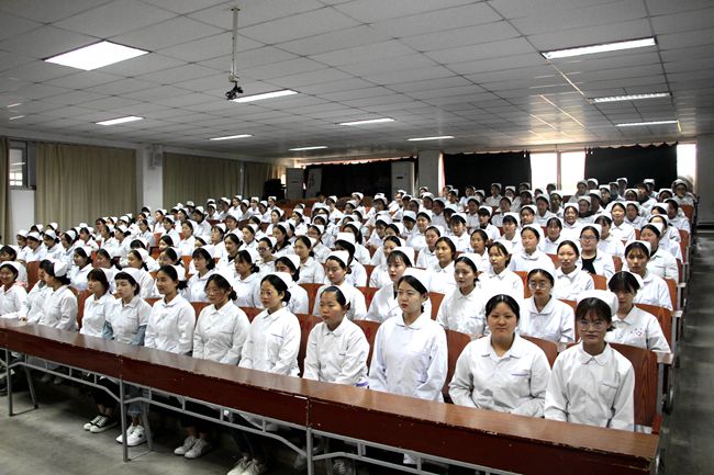 5cac505801ce9.jpg 5cac505801ce9.jpg